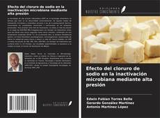 Efecto del cloruro de sodio en la inactivación microbiana mediante alta presión的封面
