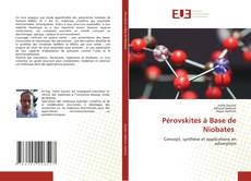 Pérovskites à Base de Niobates kitap kapağı