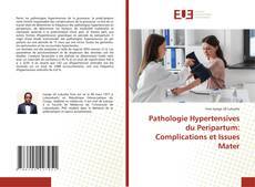 Pathologie Hypertensives du Peripartum: Complications et Issues Mater kitap kapağı