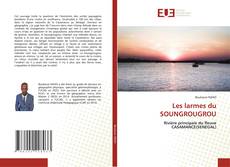 Les larmes du SOUNGROUGROU的封面