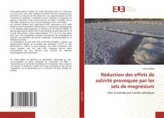 Réduction des effets de salinité provoquée par les sels de magnésium kitap kapağı