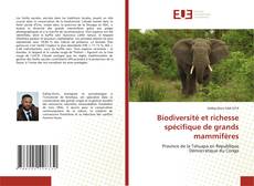 Copertina di Biodiversité et richesse spécifique de grands mammifères