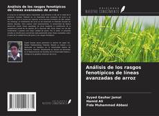Borítókép a  Análisis de los rasgos fenotípicos de líneas avanzadas de arroz - hoz
