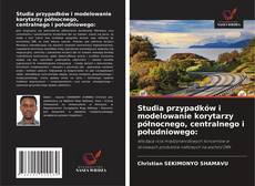 Copertina di Studia przypadków i modelowanie korytarzy północnego, centralnego i południowego: