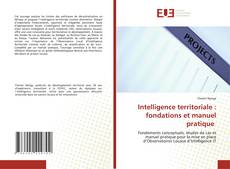 Copertina di Intelligence territoriale : fondations et manuel pratique