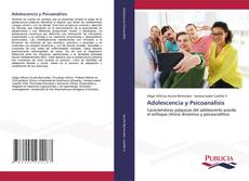 Adolescencia y Psicoanálisis kitap kapağı