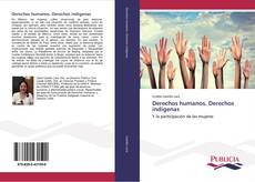 Derechos humanos. Derechos indígenas kitap kapağı