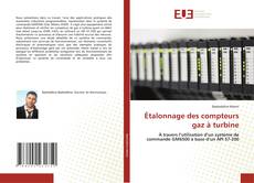 Copertina di Étalonnage des compteurs gaz à turbine