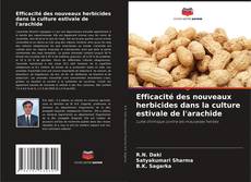 Bookcover of Efficacité des nouveaux herbicides dans la culture estivale de l'arachide