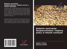 Bookcover of Badanie warunków bezpieczeństwa i higieny pracy w młynie ryżowym
