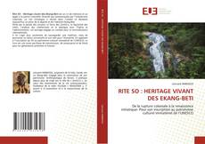 Copertina di RITE SO : HERITAGE VIVANT DES EKANG-BETI