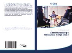 Обложка A szociálpedagógia kialakulása, múltja, jelene