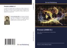 Protais LUMBU II.1 kitap kapağı