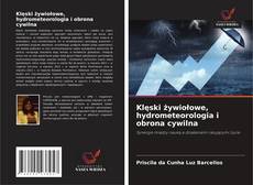 Copertina di Klęski żywiołowe, hydrometeorologia i obrona cywilna