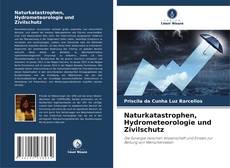 Couverture de Naturkatastrophen, Hydrometeorologie und Zivilschutz