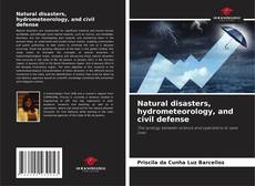 Copertina di Natural disasters, hydrometeorology, and civil defense