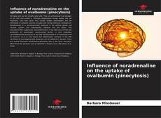 Buchcover von Influence of noradrenaline on the uptake of ovalbumin (pinocytosis)