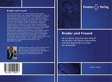 Capa do livro de Bruder und Freund 