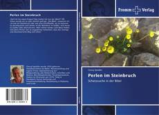 Buchcover von Perlen im Steinbruch