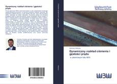 Bookcover of Dynamiczny rozkład ciśnienia i gęstości prądu