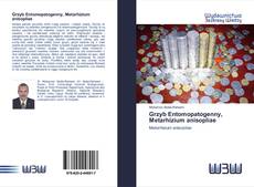 Bookcover of Grzyb Entomopatogenny, Metarhizium anisopliae