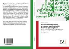 Buchcover von Review of combustion, pyrolysis, gasification in biomass power plants
