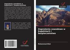 Zagrożenia zawodowe w kopalniach i bezpieczeństwo kitap kapağı