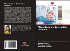 Bookcover of Mécanisme de destruction osseuse