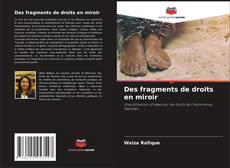 Capa do livro de Des fragments de droits en miroir 