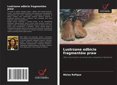 Lustrzane odbicie fragmentów praw kitap kapağı