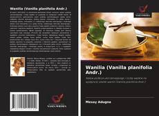 Wanilia (Vanilla planifolia Andr.) kitap kapağı