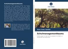 Schulmanagementteams kitap kapağı