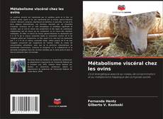 Copertina di Métabolisme viscéral chez les ovins