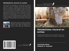 Copertina di Metabolismo visceral en ovinos