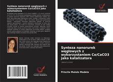 Bookcover of Synteza nanorurek węglowych z wykorzystaniem Co/CaCO3 jako katalizatora