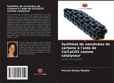 Portada del libro de Synthèse de nanotubes de carbone à l'aide de Co/CaCO3 comme catalyseur