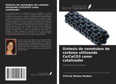 Couverture de Síntesis de nanotubos de carbono utilizando Co/CaCO3 como catalizador