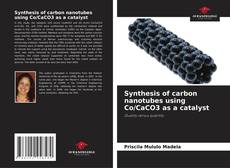 Buchcover von Synthesis of carbon nanotubes using Co/CaCO3 as a catalyst