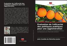 Portada del libro de Évaluation de l'efficacité des politiques publiques pour une agglomération