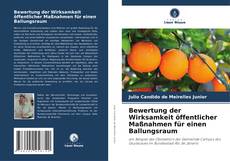 Bewertung der Wirksamkeit öffentlicher Maßnahmen für einen Ballungsraum kitap kapağı