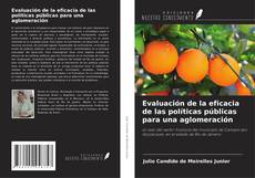 Couverture de Evaluación de la eficacia de las políticas públicas para una aglomeración
