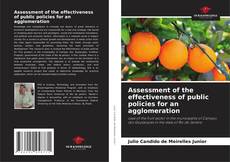 Buchcover von Assessment of the effectiveness of public policies for an agglomeration