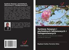 Bookcover of Synteza fenazyn i pochodnych laktonowych i halogenowanych