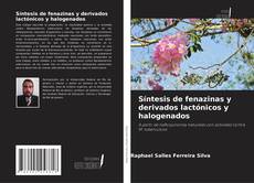 Copertina di Síntesis de fenazinas y derivados lactónicos y halogenados
