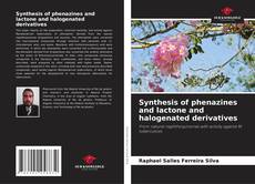 Buchcover von Synthesis of phenazines and lactone and halogenated derivatives