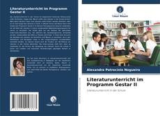Literaturunterricht im Programm Gestar II kitap kapağı