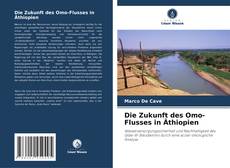 Die Zukunft des Omo-Flusses in Äthiopien kitap kapağı