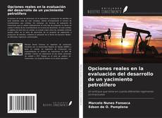 Copertina di Opciones reales en la evaluación del desarrollo de un yacimiento petrolífero