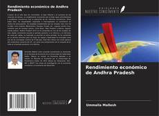 Copertina di Rendimiento económico de Andhra Pradesh