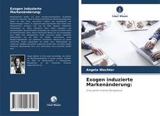 Exogen induzierte Markenänderung: kitap kapağı